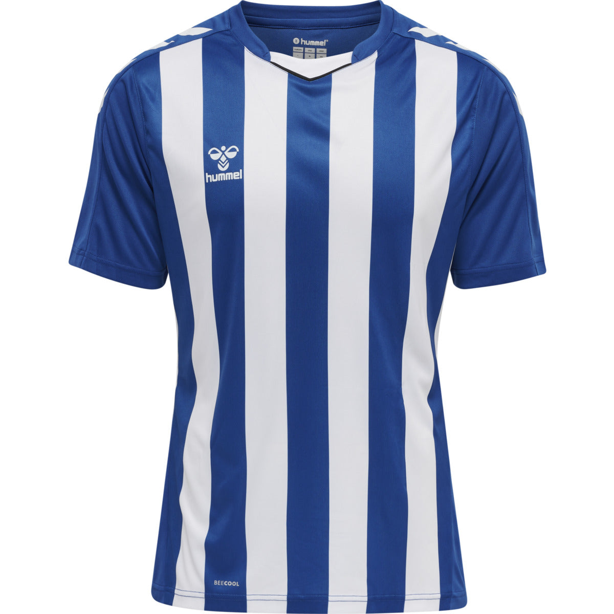 hmlCORE XK STRIPED JERSEY KIDS S/S TRUE BLUE/WHITE